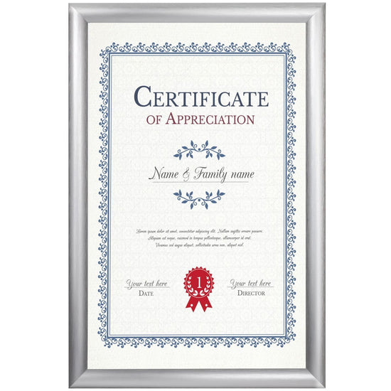 27.94 x 43.18 cm Brushed Silver Diploma Frame 25MM SnapeZo®