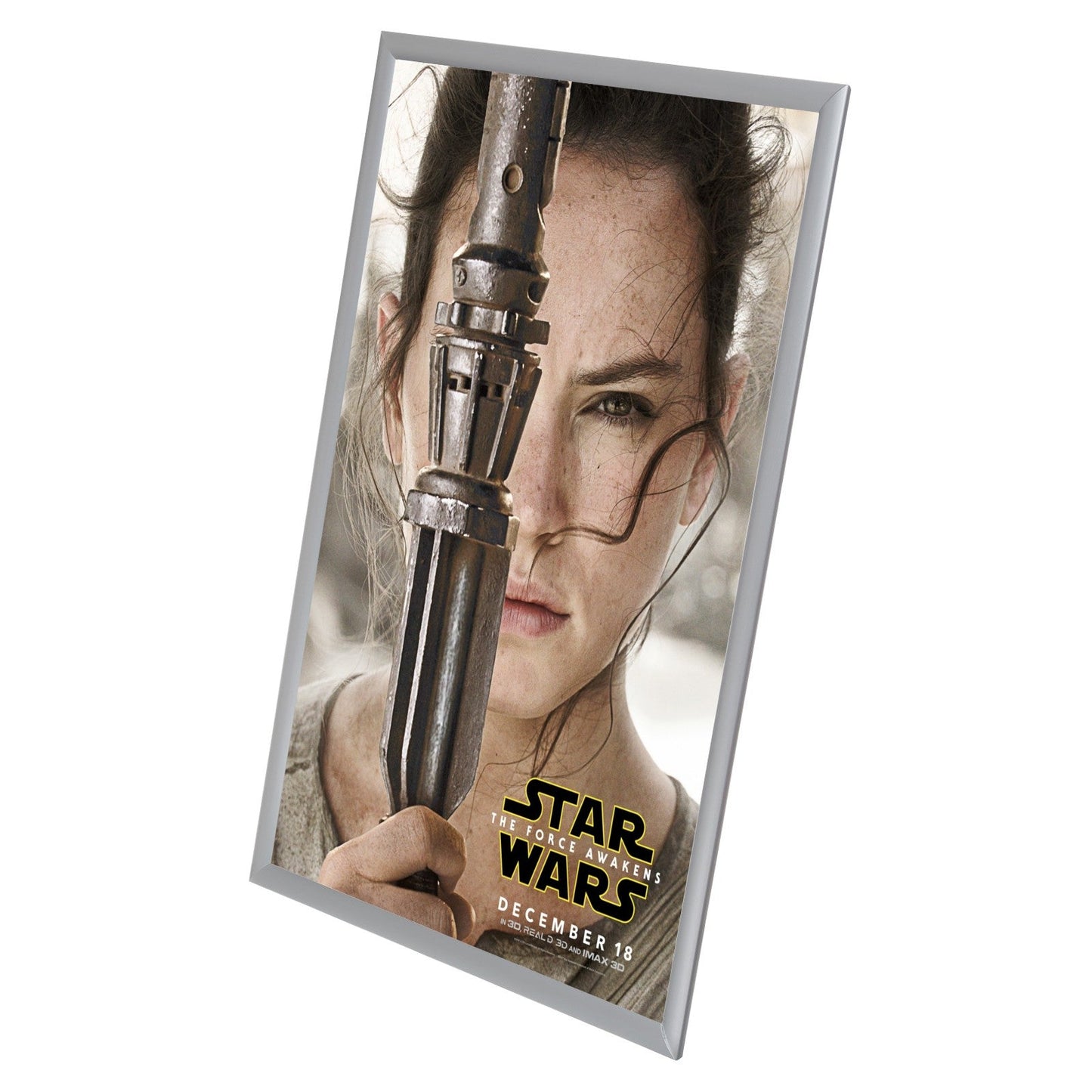 Twin-Pack Silver 24x36 Movie Poster Frame - 1" Profile