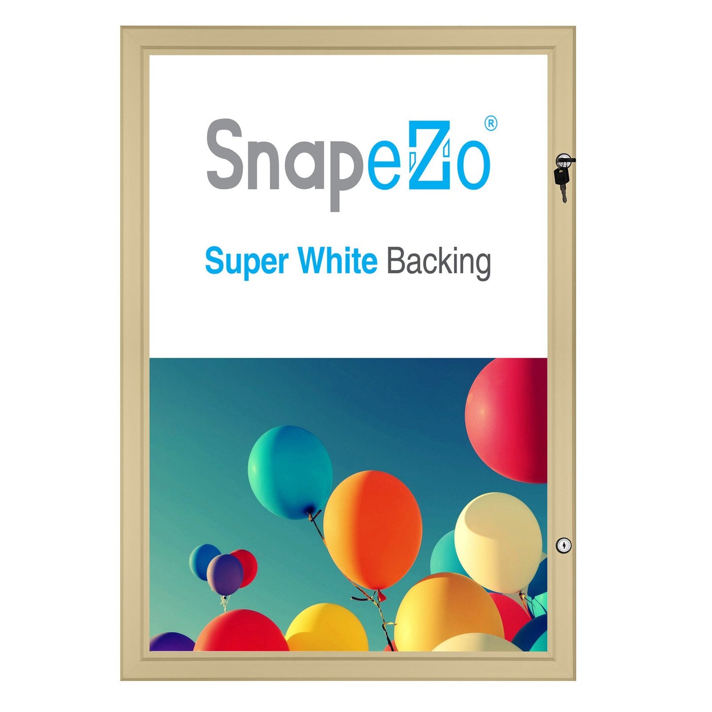 21.59 x 27.94 cm Gold Poster Case 45MM SnapeZo®