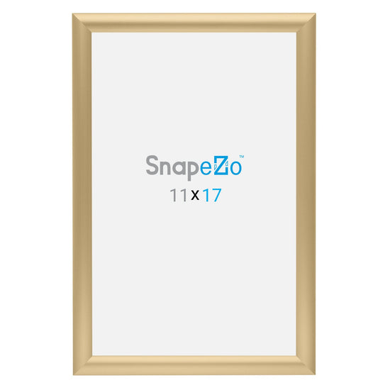 27.94 x 43.18 cm Gold Diploma Frame 25MM SnapeZo®