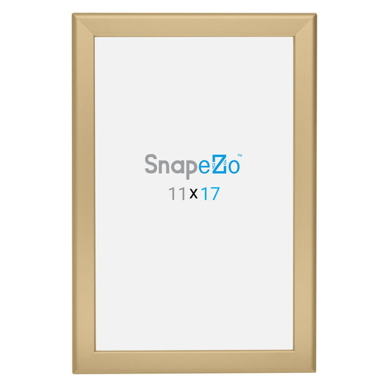 27.94 x 43.18 cm Gold Diploma Frame 32MM SnapeZo®