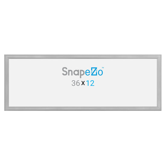 SnapeZo® 30.48 x 91.44 cm Silver Snap Frame - 30MM Profile