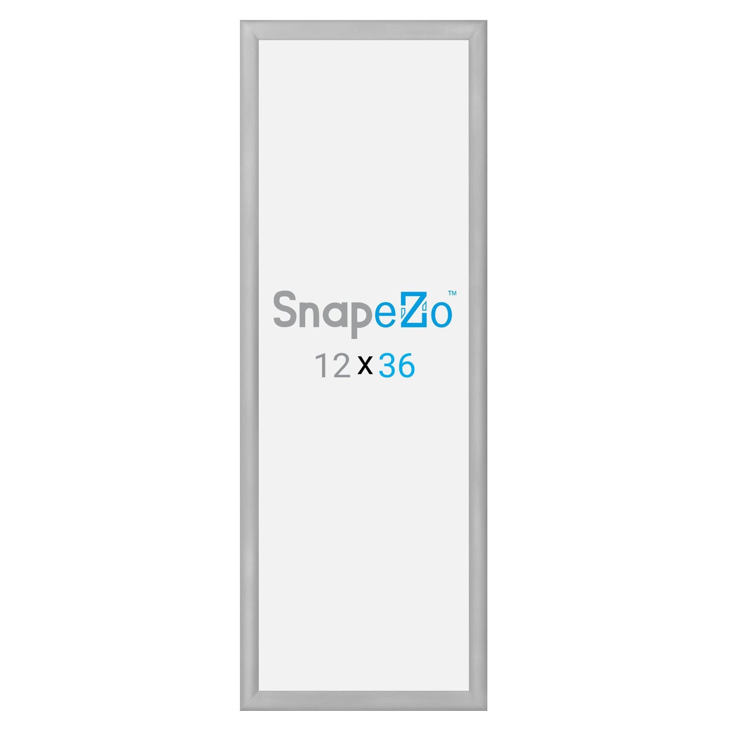 SnapeZo® 30.48 x 91.44 cm Silver Snap Frame - 30MM Profile