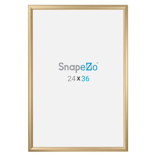 60.96 x 91.44 cm Gold Movie Poster Frame 30MM SnapeZo®