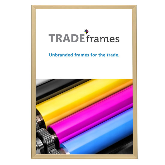 68.58 x 104.14 cm Gold Snap Frame - 32MM