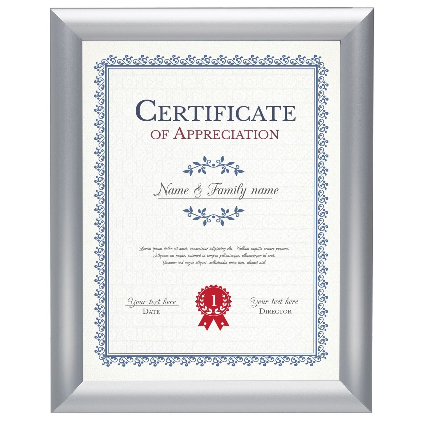 8.5x11 Brushed Silver Certificate Frame 1 Inch SnapeZo®