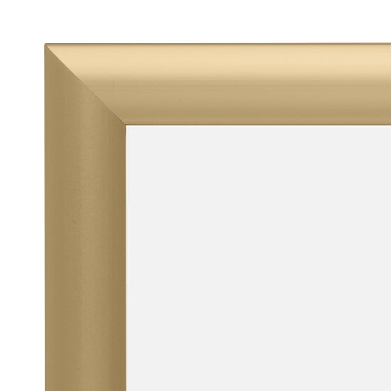 27.94 x 35.56 cm Gold Certificate Frame 25MM SnapeZo®