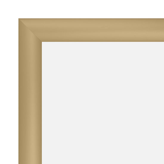 27.94 x 43.18 cm Gold Diploma Frame 30MM SnapeZo®