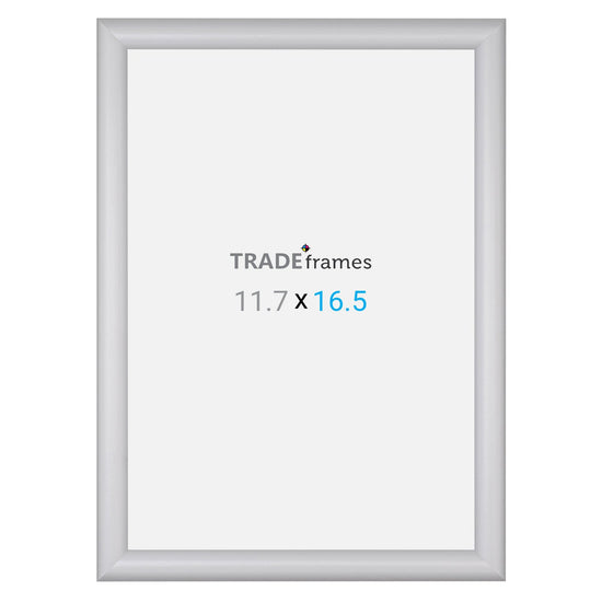 A3 (42 x 29.7 cm) Silver Snap Frame - 25MM Profile