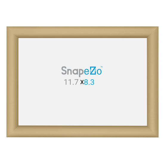 A4 (29.7 x 21 cm) Gold Document Frame 25MM SnapeZo®