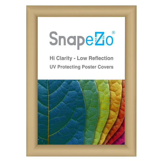 A4 (29.7 x 21 cm) Gold Document Frame 25MM SnapeZo®