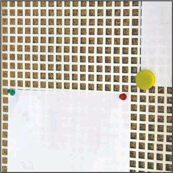 Cork Board - T Foot